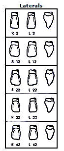 Pella Odus kroner nr.2, 2+2