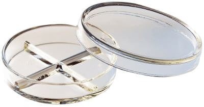 Petriskål 4-delt 100 x 20mm