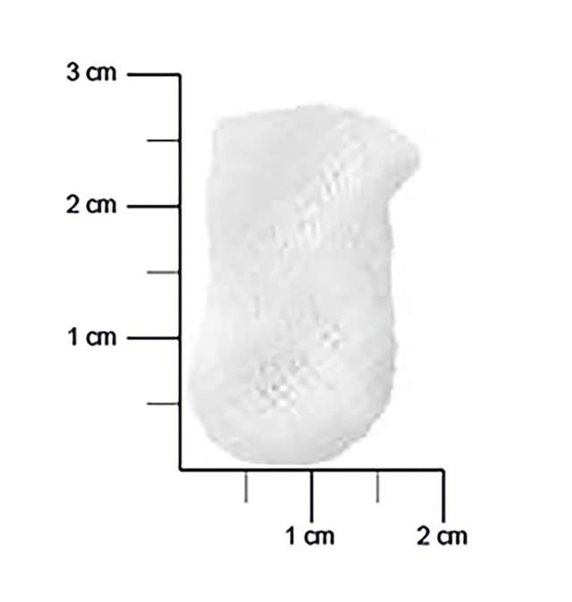 M+W Select gazetamponer rund str 2/hasselnød