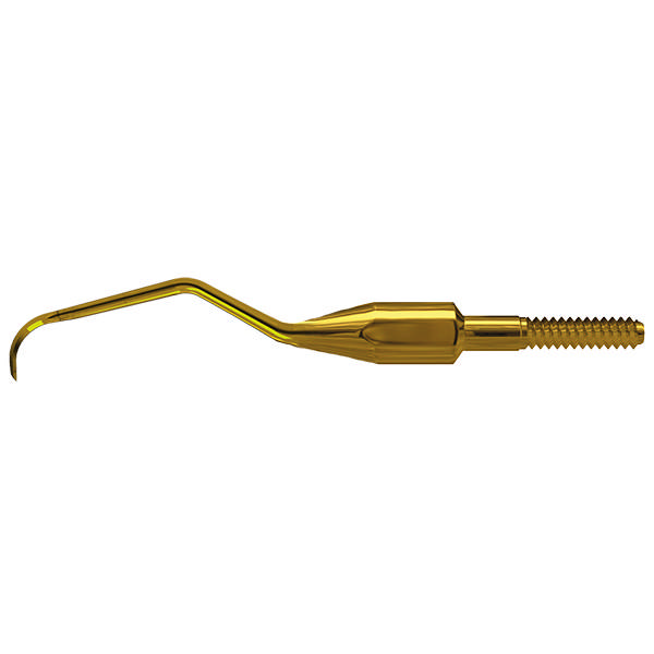 American Eagle Dob. Gracey Anterior(A)XP Quik tip